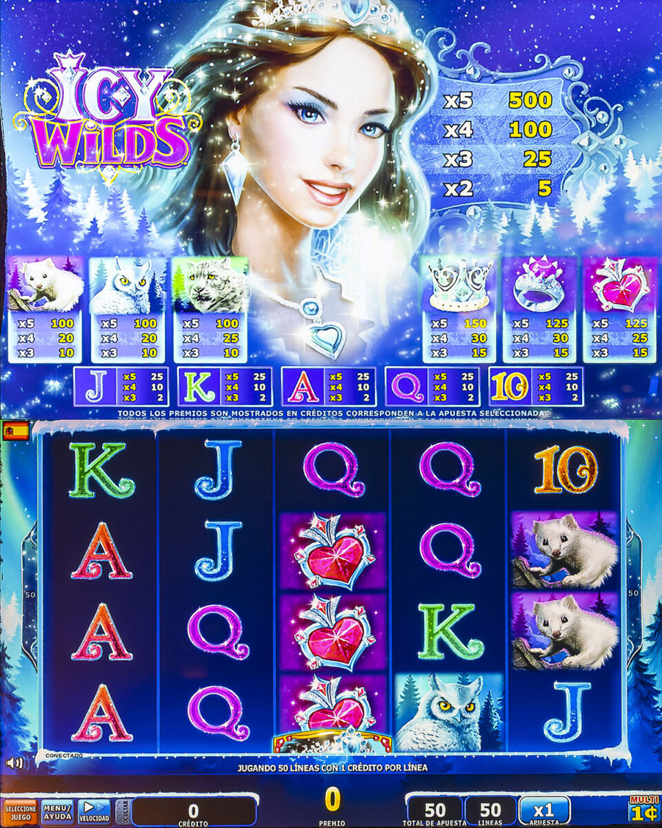 casino-slotmachine-icywilds